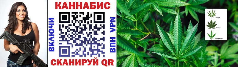 Канабис гибрид Приморск